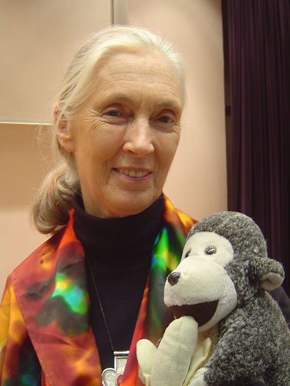 17 Incredible Things About Jane Goodall, Chimps and the Jungle